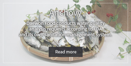 Anchovy