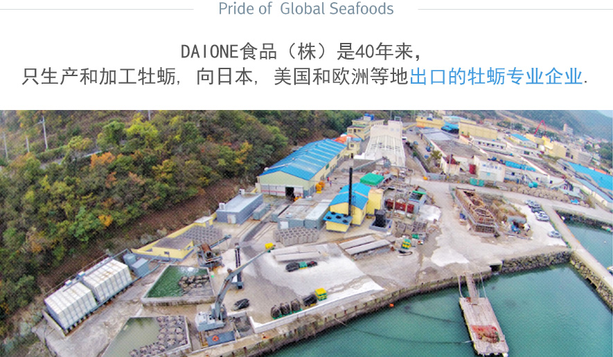 DAIONE食品(株)是40年来,只生产和加工牡蛎,向日本、美国和欧洲等地出口的牡蛎专业企业。